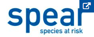 SPEAR logo